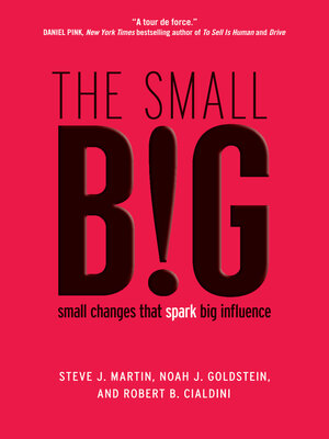 cover image of The small BIG